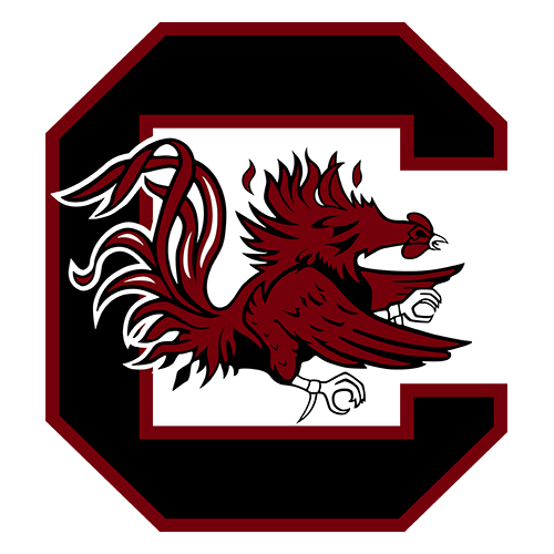 Kent State Golden Flashes at South Carolina Gamecocks