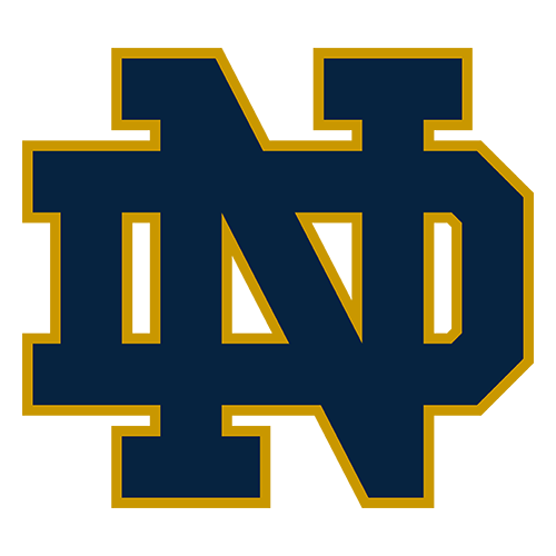 Rice Owls at Notre Dame Fighting Irish