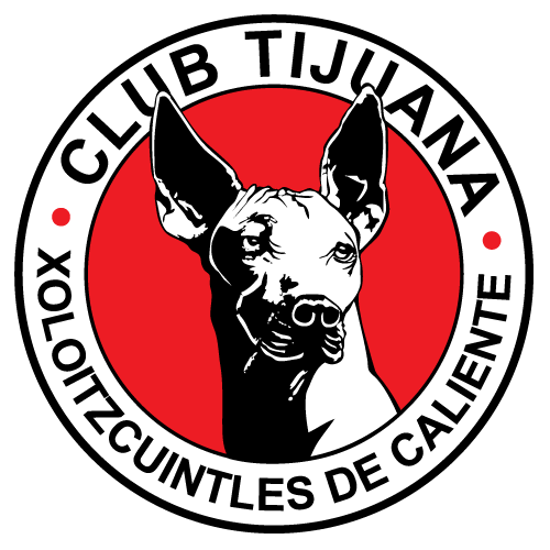 Pachuca at Tijuana