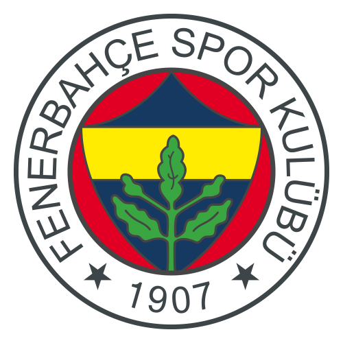 Caykur Rizespor at Fenerbahce