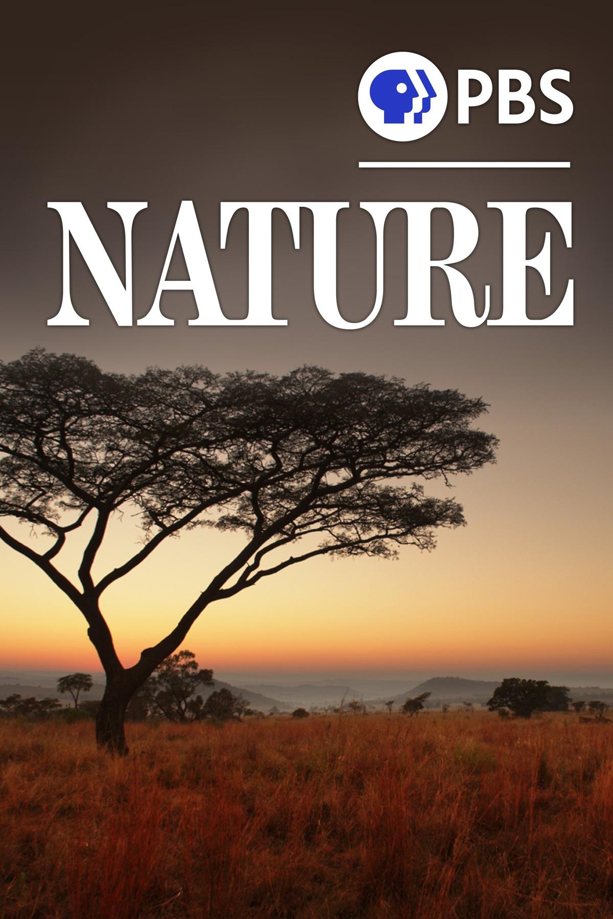 Nature S45E1